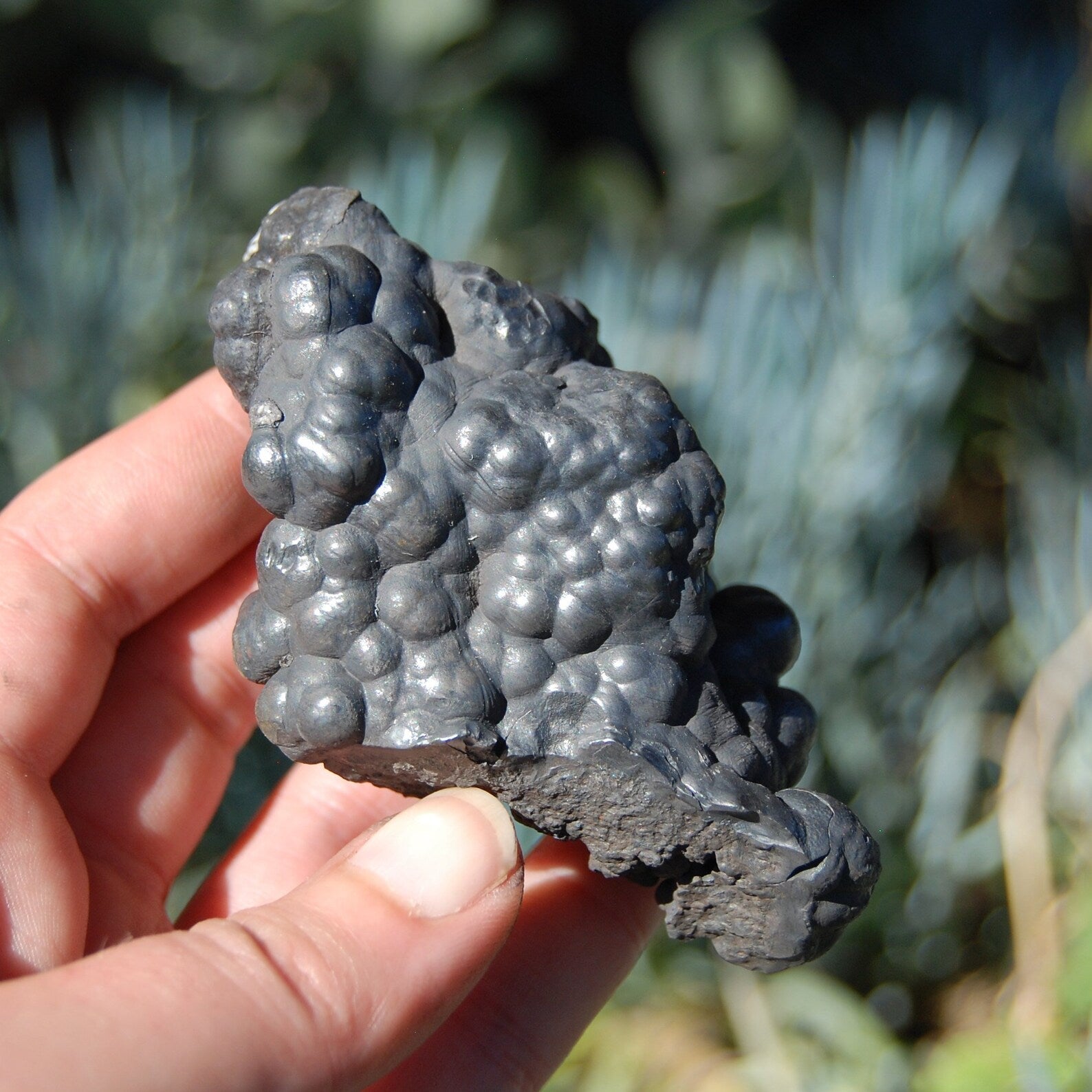 goethite crystal, goethite stone, goethite gemstone, goethite meaning, goethite healing properties, raw goethite, polished goethite, goethite inclusions, quartz with goethite, buy goethite crystal, goethite for sale, goethite grounding stone