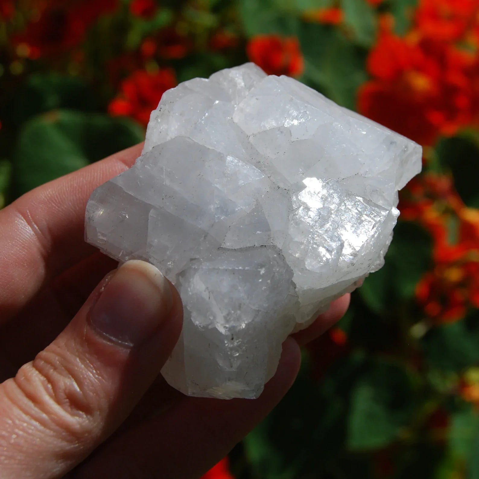 apophyllite crystal, apophyllite stone, apophyllite gemstone, apophyllite cluster, green apophyllite, clear apophyllite, apophyllite meaning, apophyllite healing properties, raw apophyllite, polished apophyllite, buy apophyllite, apophyllite for sale