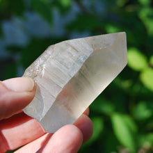 Load image into Gallery viewer, Smoky Lemurian Seed Quartz Crystal Starbrary
