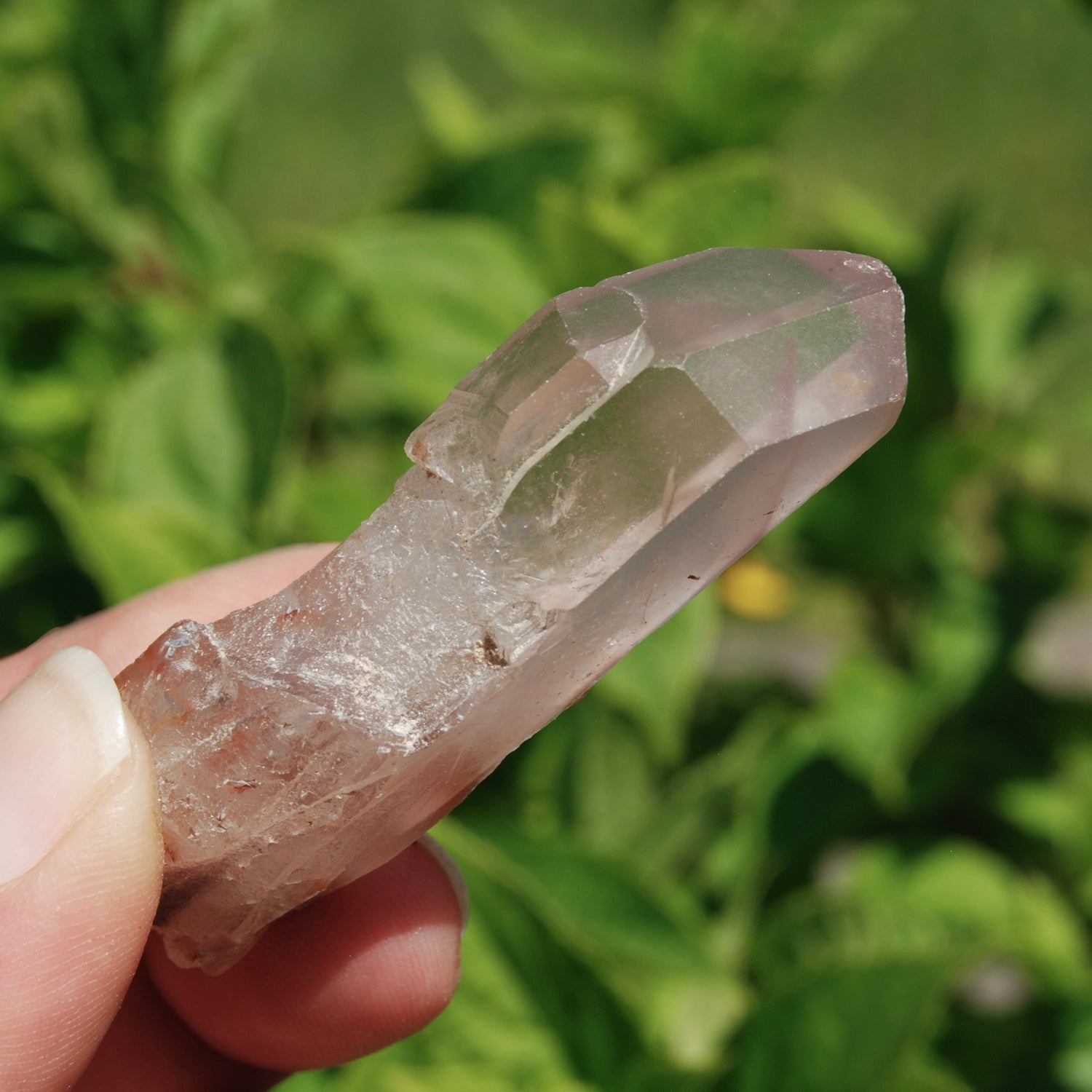 DT Hematoid Pink Lithium Lemurian Quartz Crystal Starbrary
