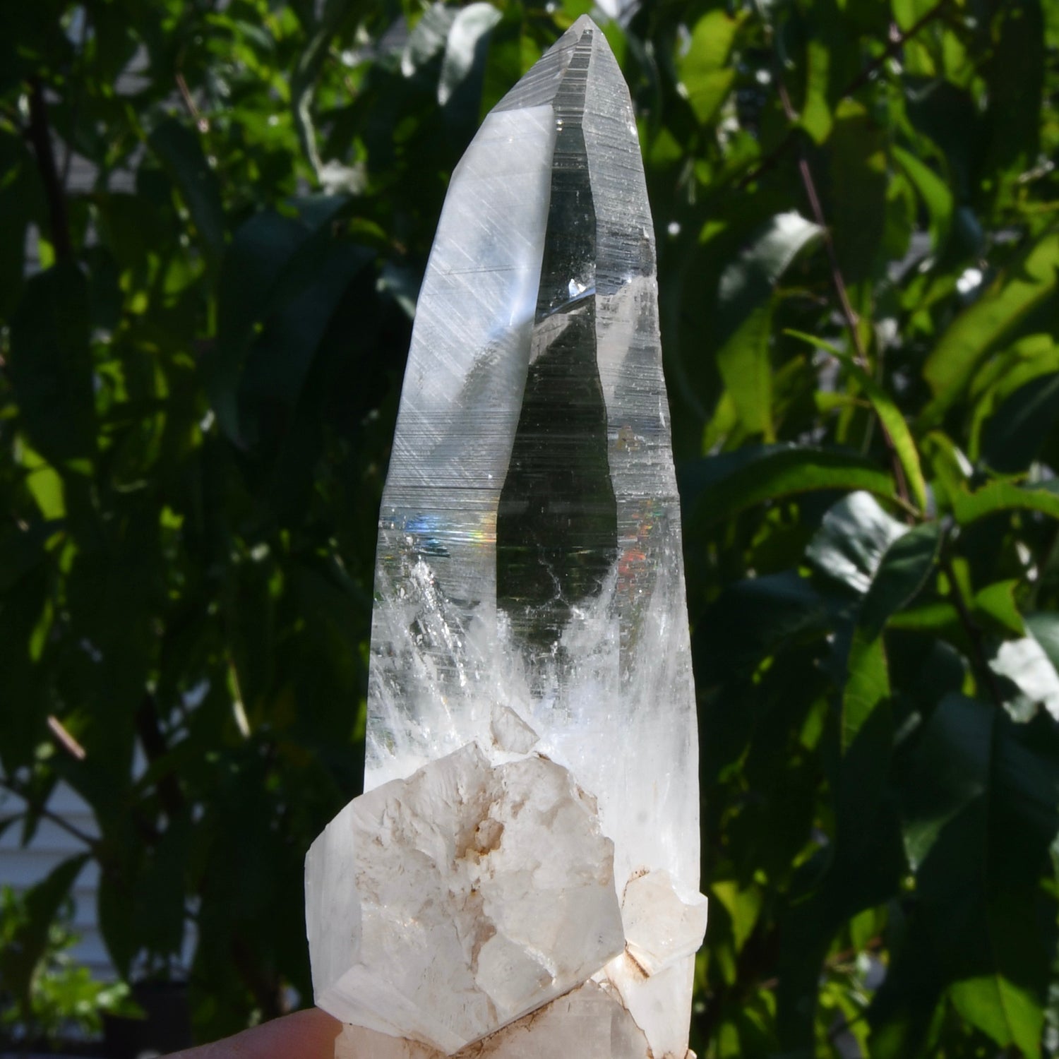 Rare Cross Colombian Lemurian Seed Quartz Crystal Laser Starbrary, Boyaca