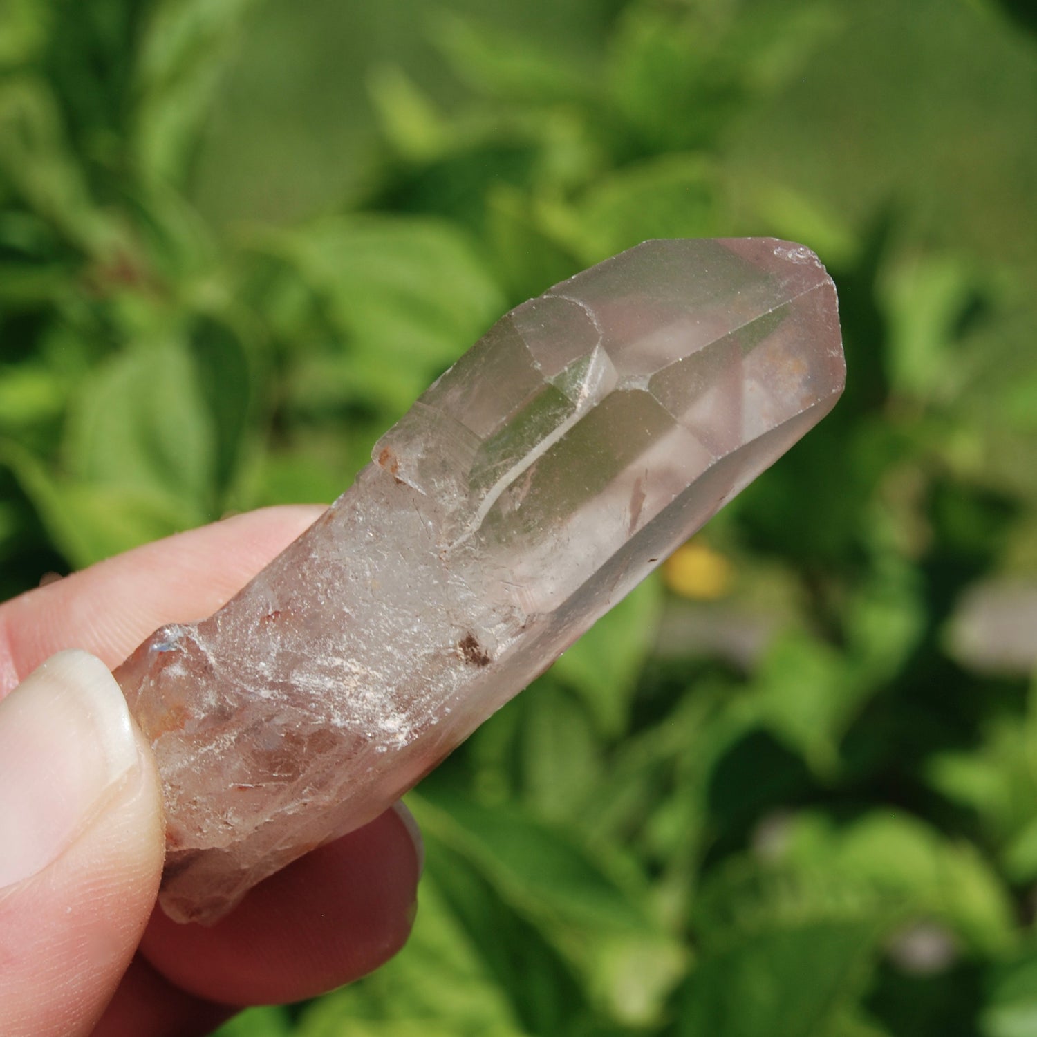 DT Hematoid Pink Lithium Lemurian Quartz Crystal Starbrary