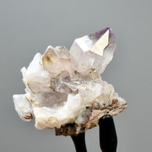 Load image into Gallery viewer, Shangaan Amethyst Quartz Crystal Scepter Cluster
