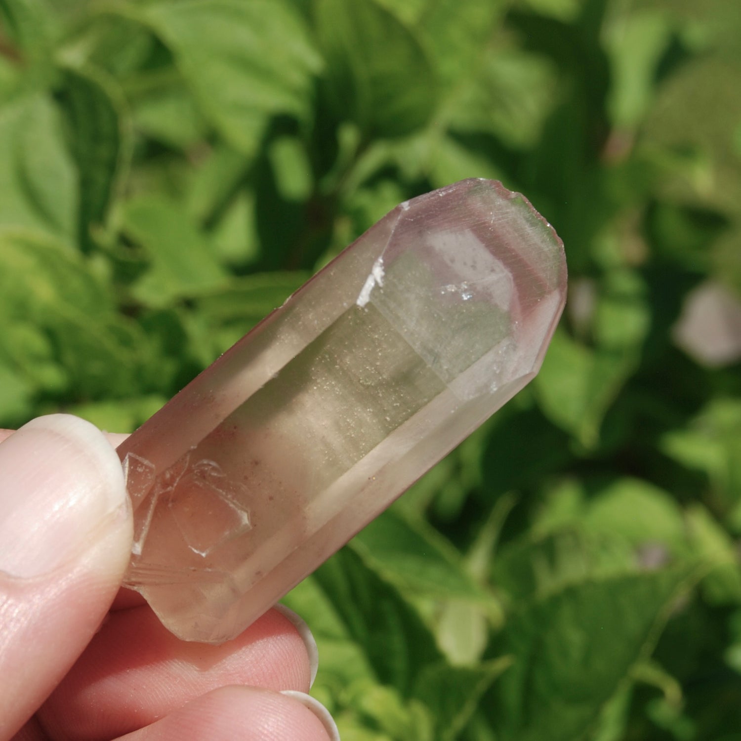 Pink Lithium Lemurian Quartz Crystal