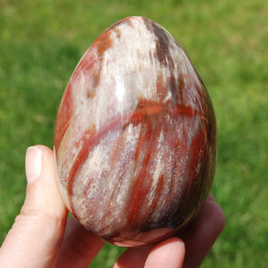 Red Petrified Wood Egg, Madagascar