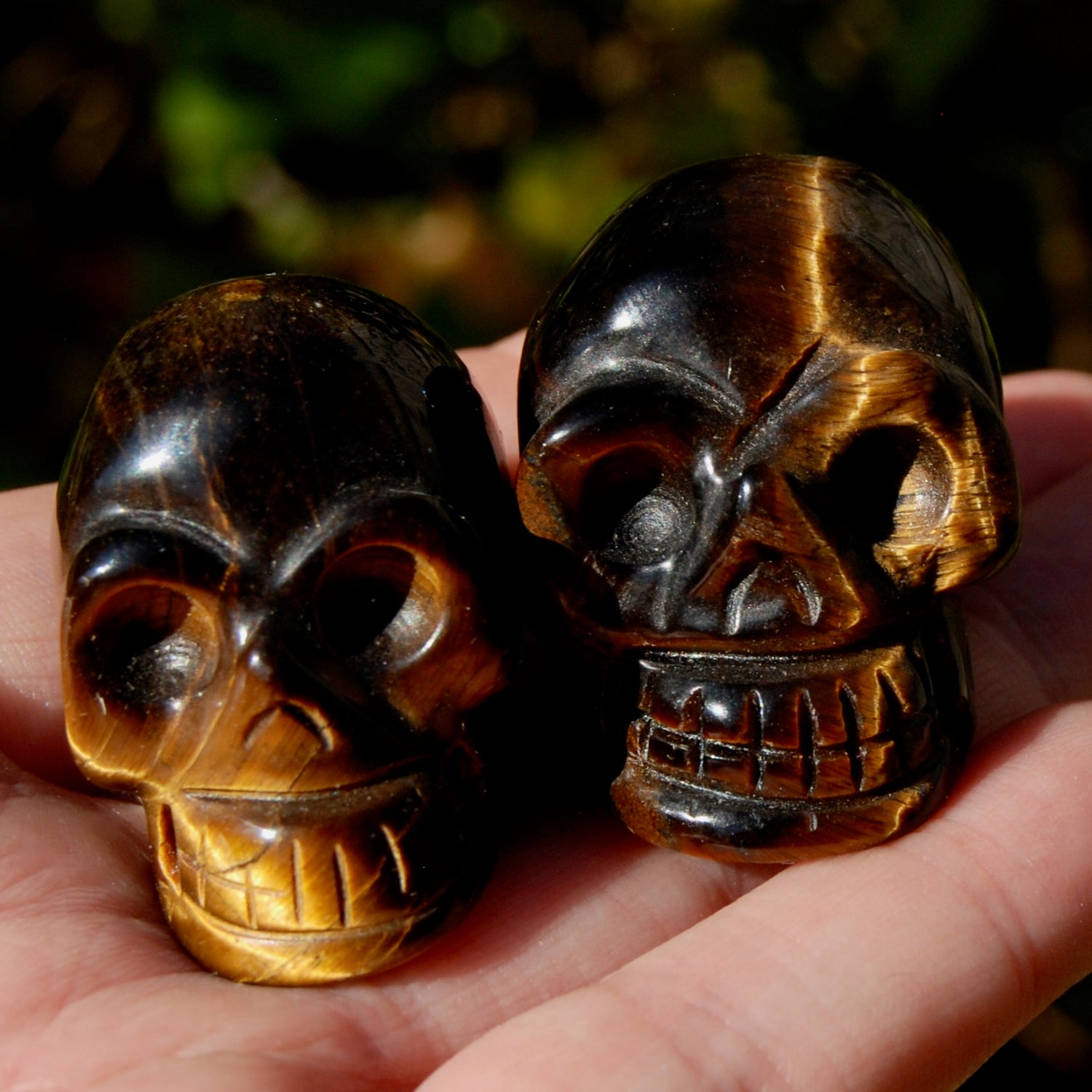 Tiger Eye Carved Crystal Skull