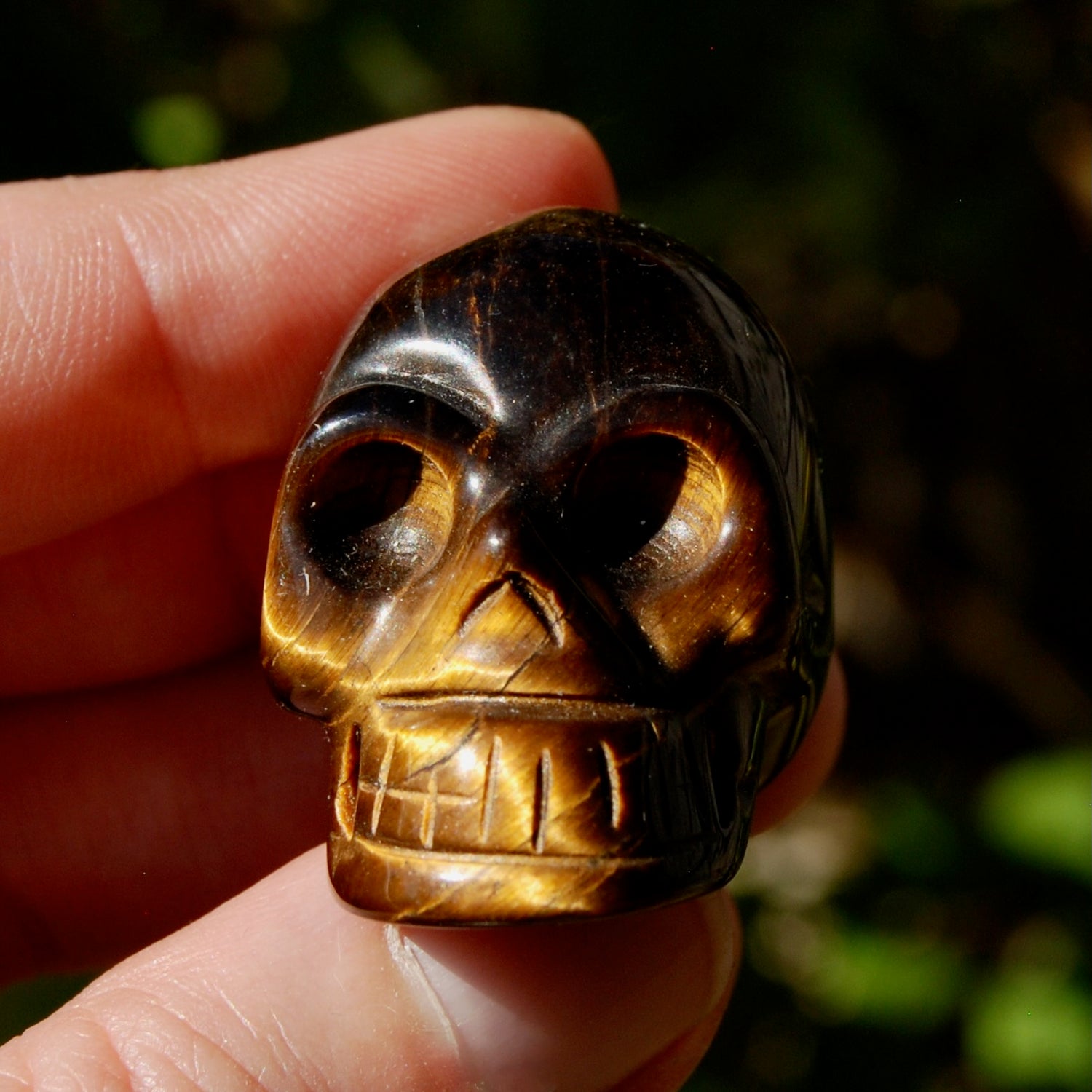 Tiger Eye Carved Crystal Skull