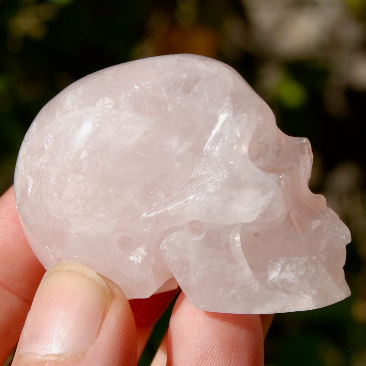 Gemmy Rose Quartz Crystal Skull