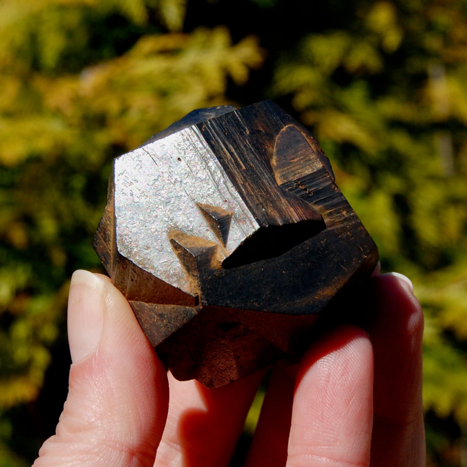 Pyrite Iron Cross Twin Goethite Pseudomorph Crystal