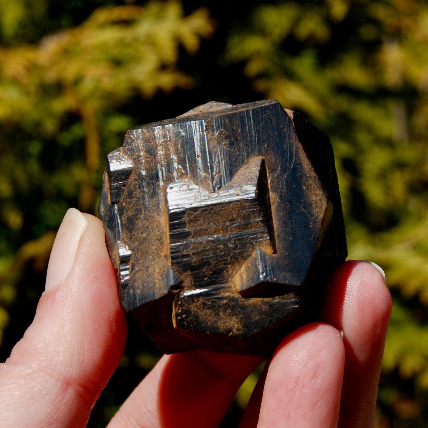 Pyrite Iron Cross Twin Goethite Pseudomorph Crystal