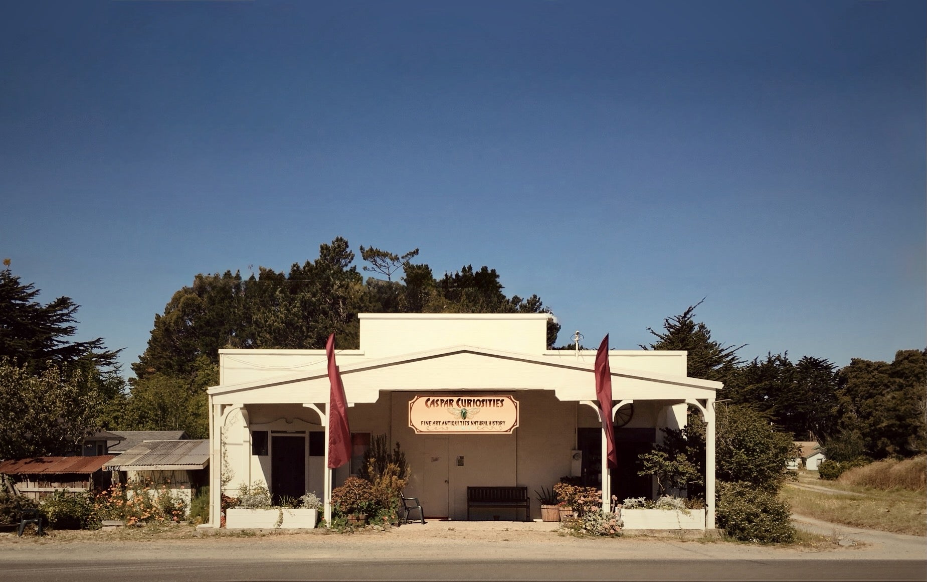 Caspar Curiosities - Crystals, Carvings & Metaphysical Tools