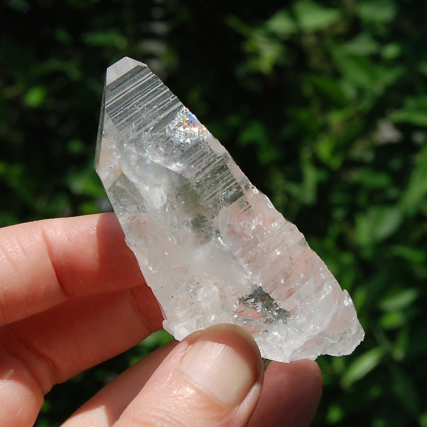 3in DT Lemurian Seed Quartz Crystal Laser Starbary, Internal Rainbows, Self Healed, Peñas Blancas, Colombia