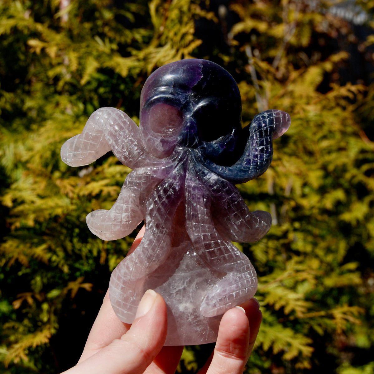 Purple Blue Fluorite Crystal Octopus