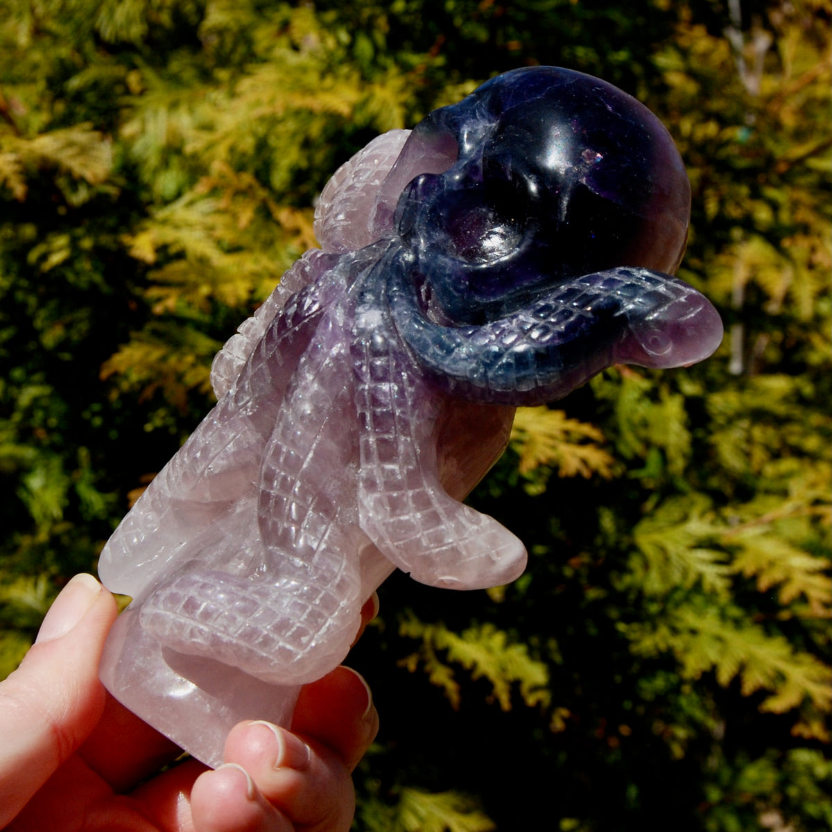 Purple Blue Fluorite Crystal Octopus