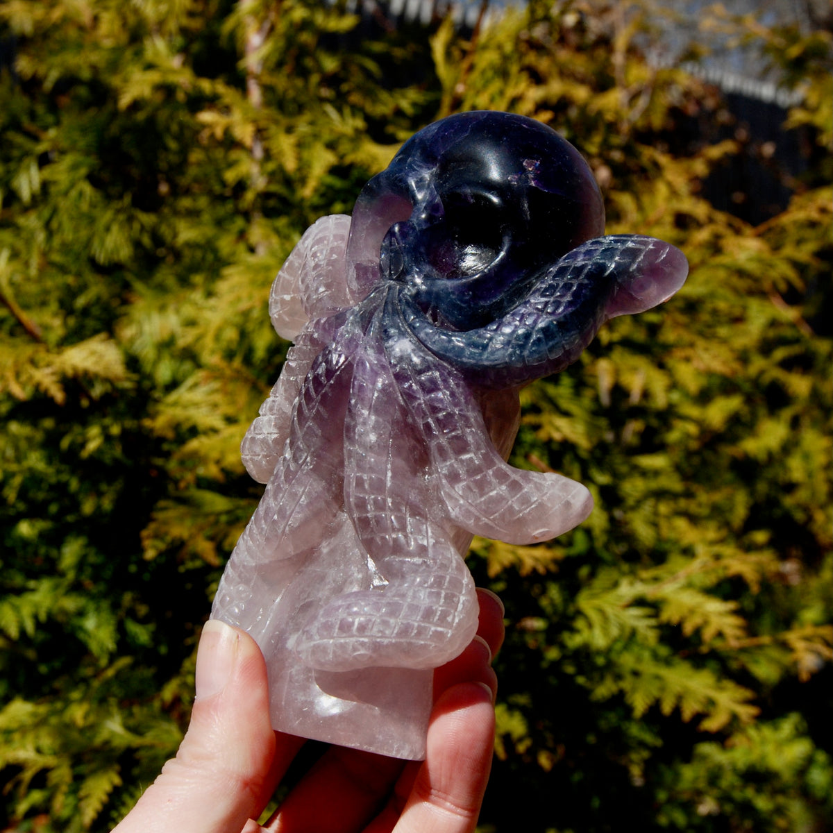 Purple Blue Fluorite Crystal Octopus