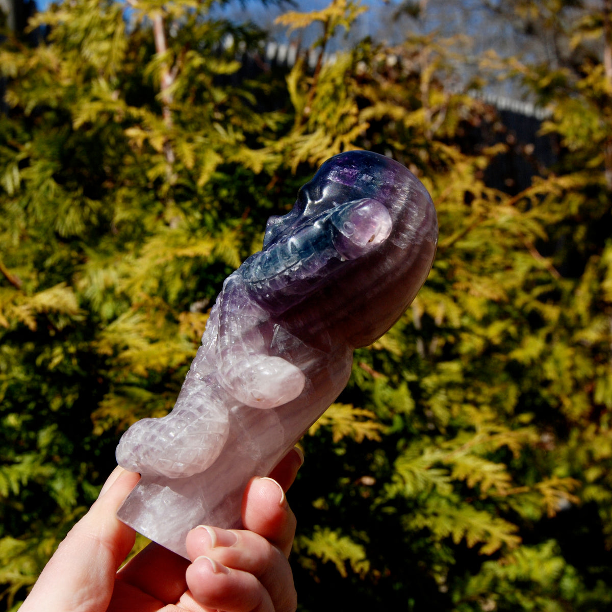 Purple Blue Fluorite Crystal Octopus