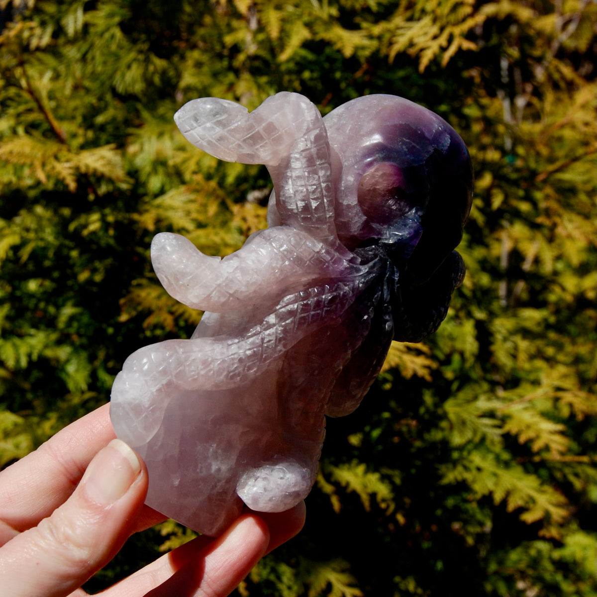 Purple Blue Fluorite Crystal Octopus