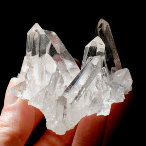 Cosmic Grounding Lemurian Silver Quartz Crystal Starbrary Cluster