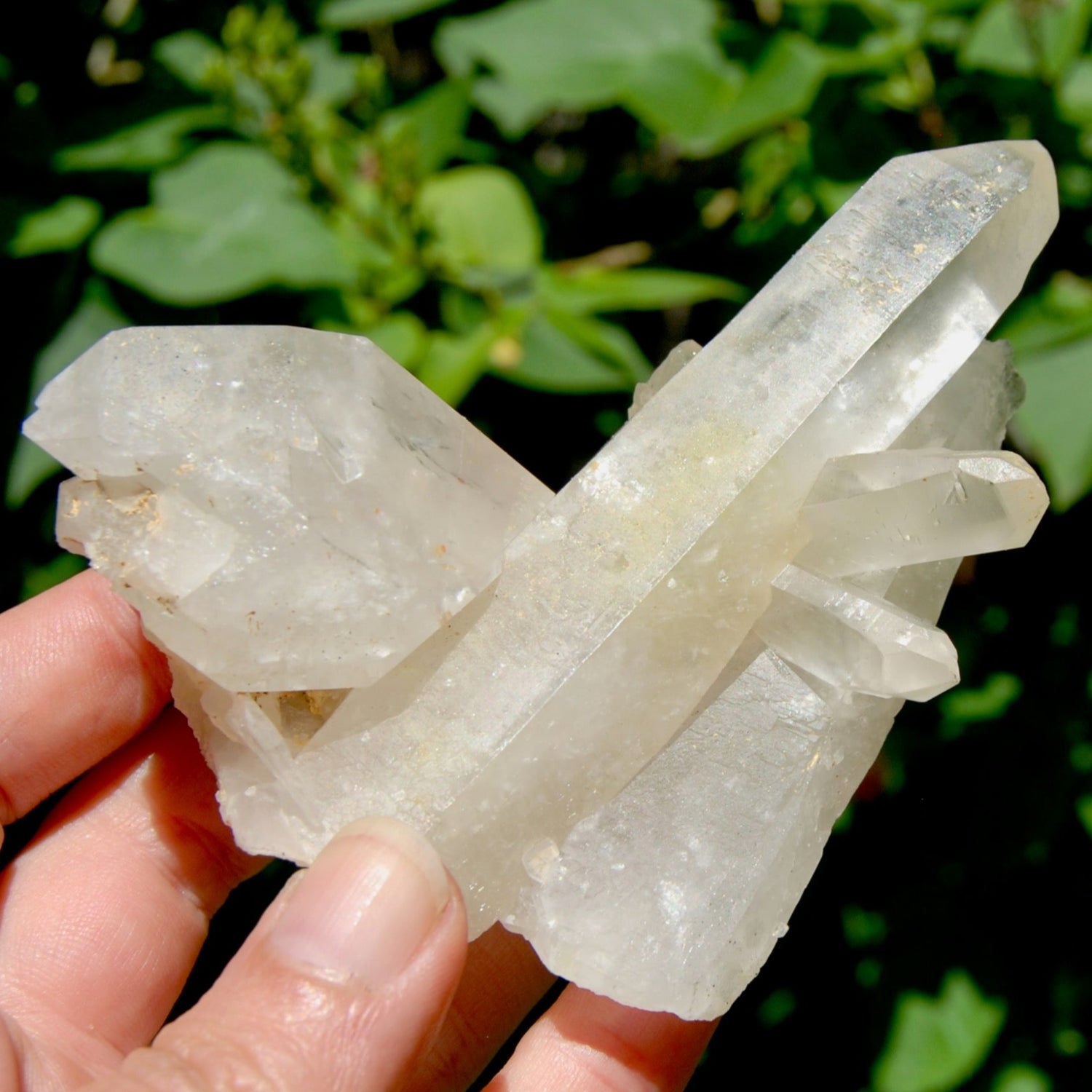 Raw Isis Face Golden Healer Clear Quartz Crystal Cluster, Limonite, Zambia