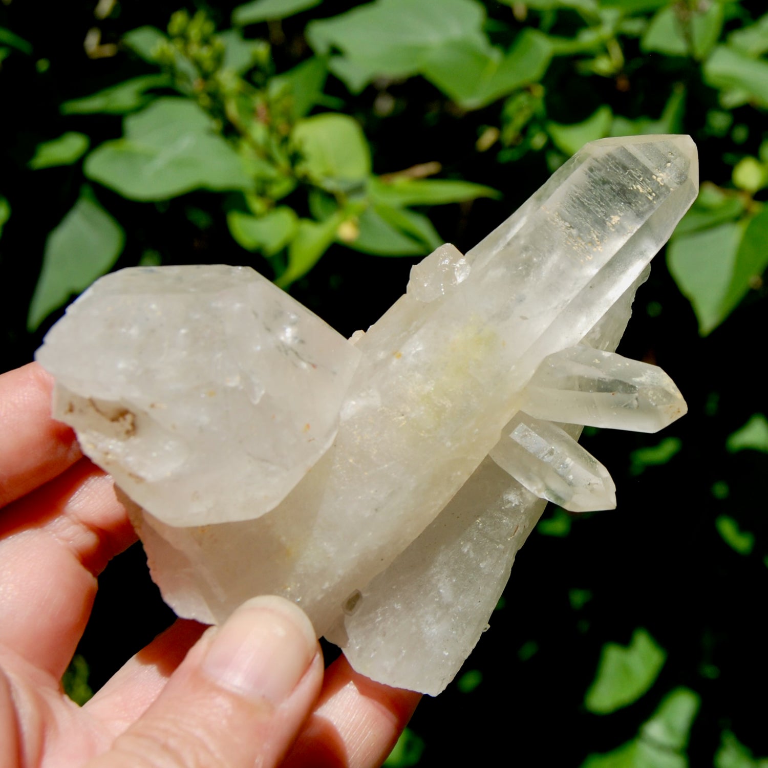 Raw Isis Face Golden Healer Clear Quartz Crystal Cluster, Limonite, Zambia