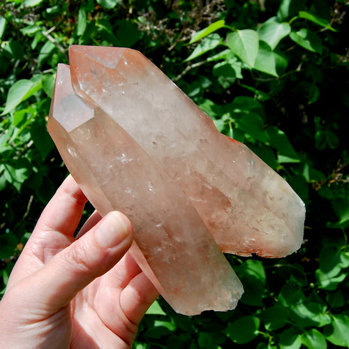 Record Keeper Soulmate Tantric Twin Pink Shadow Smoky Lemurian Seed Quartz Crystal Starbrary, Brazil
