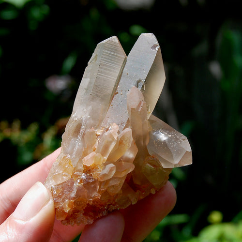 Tantric Twin Pink Shadow Smoky Lemurian Seed Quartz Crystal Starbrary Cluster, Brazil