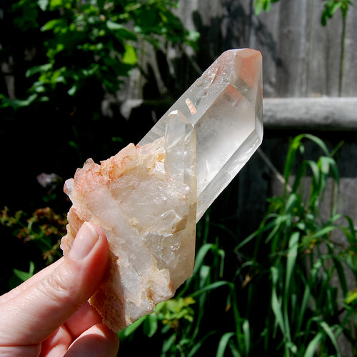 Isis Face Pink Shadow Smoky Lemurian Seed Quartz Crystal Starbrary Cluster, Brazil