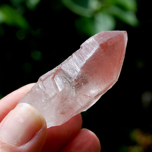 Isis Face Strawberry Pink Scarlet Temple Lemurian Quartz Crystal Dreamsicle Starbrary, Serra do Cabral, Brazil