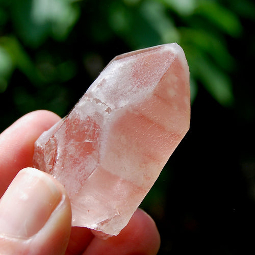 Strawberry Pink Scarlet Temple Lemurian Quartz Crystal Dreamsicle Starbrary