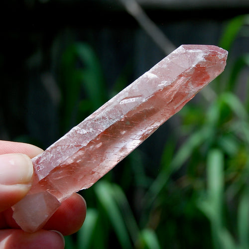 DT ET Tantric Twin Strawberry Pink Scarlet Temple Lemurian Quartz Crystal Dreamsicle Starbrary, Serra do Cabral, Brazil