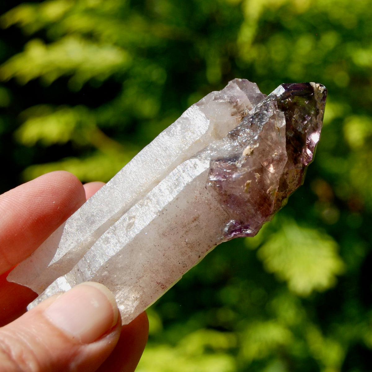 Tantric Twin Smoky Amethyst Quartz Crystal Elestial Scepter