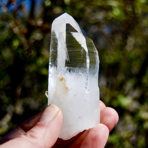 Yin Yang Lightning Strike Blades of Light Lemurian Crystal, Optical Quartz, Colombia