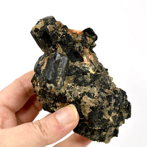 Raw Black Tourmaline Crystal Cluster