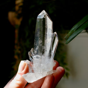 Cosmic Dow Channeler Lemurian Silver Quartz Crystal Starbrary Cluster Record Keepers Optical Corinto, Brazil