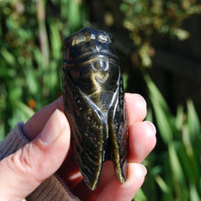 Load image into Gallery viewer, Gold sheen Obsidian Cicada

