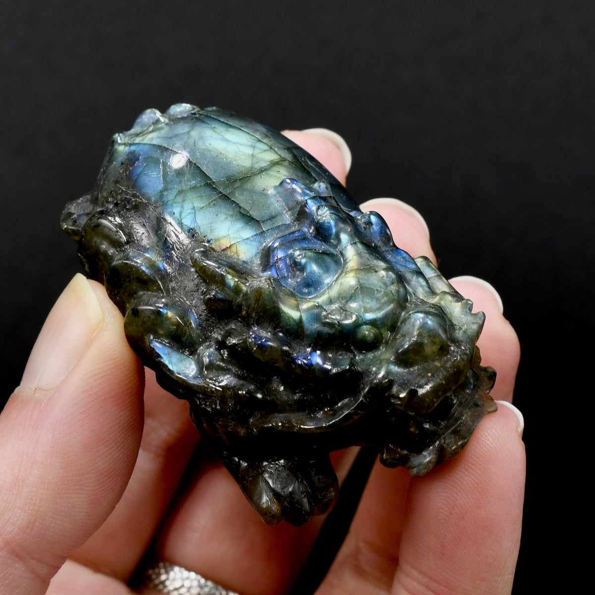 Labradorite Carved Crystal Dragon Turtle