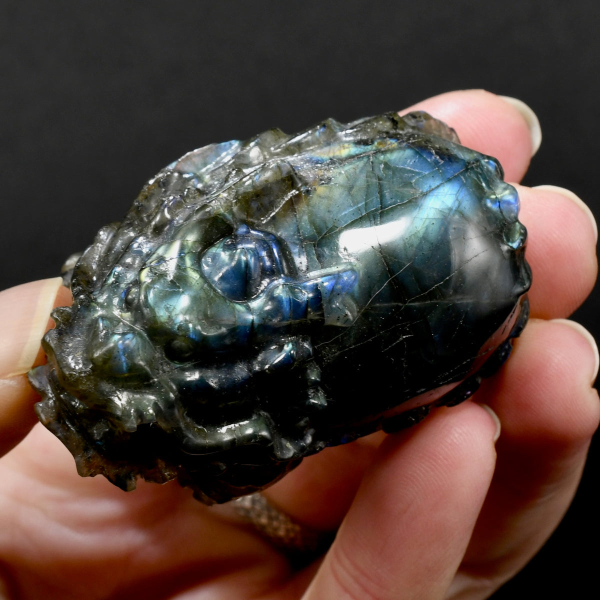 Labradorite Carved Crystal Dragon Turtle