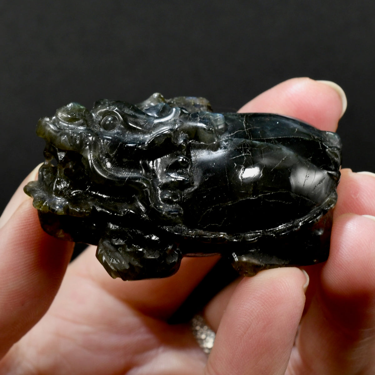 Labradorite Carved Crystal Dragon Turtle