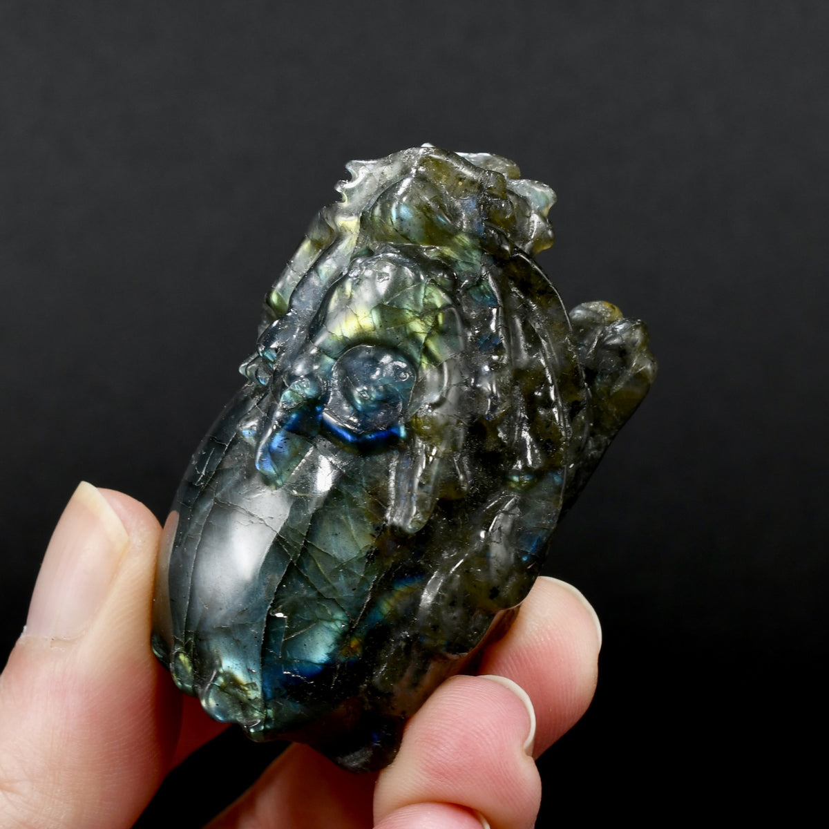 Labradorite Carved Crystal Dragon Turtle