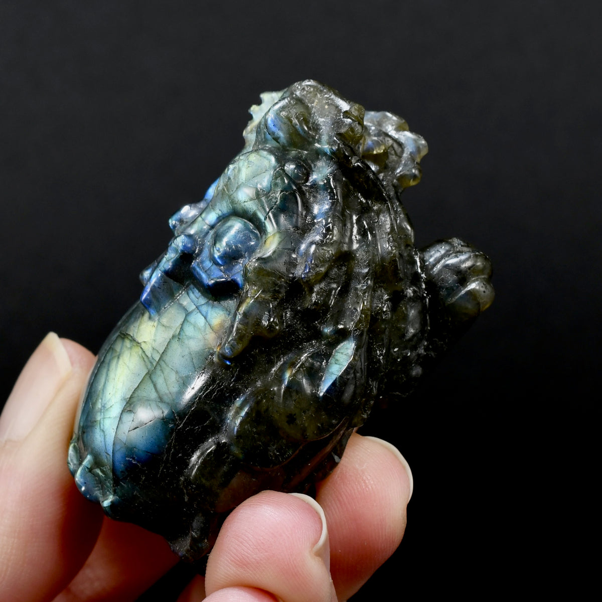 Labradorite Carved Crystal Dragon Turtle