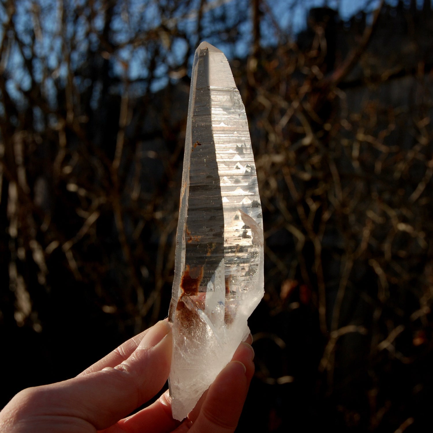 Lemurian Seed Quartz Crystal
