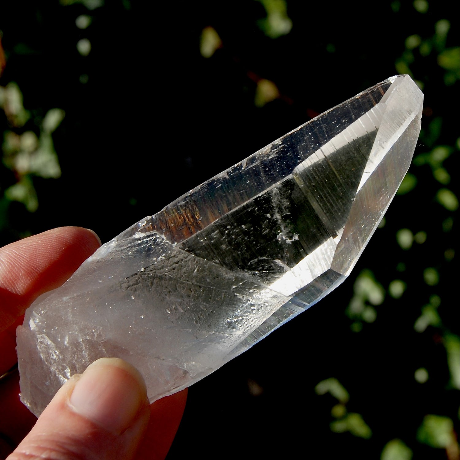 Grounding Lemurian Seed Quartz Crystal