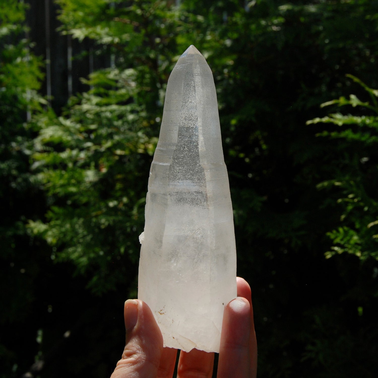 Singing Isis Face Lemurian Seed Quartz Crystal Laser Rosetta Stone Starbrary, Serra do Cabral, Brazil