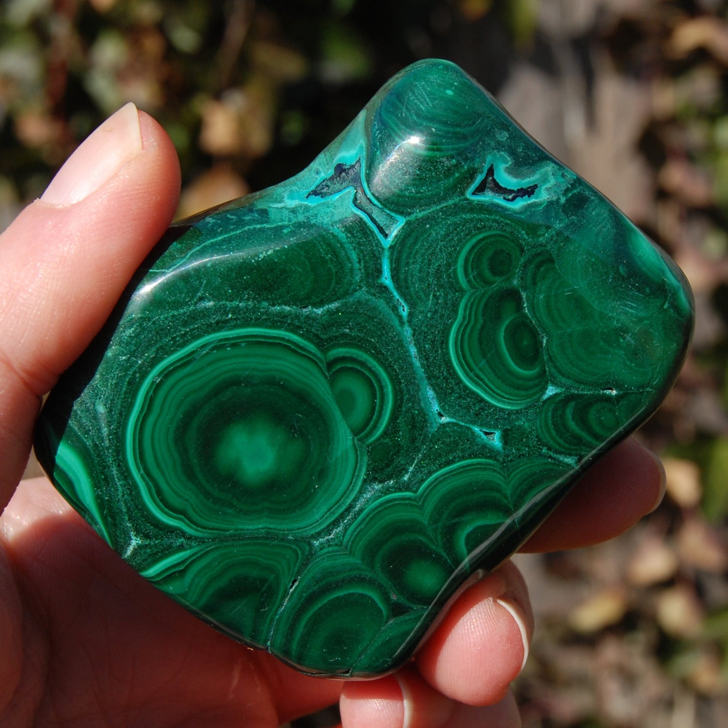 Malachite Chrysocolla Crystal Free Form Palm Stone