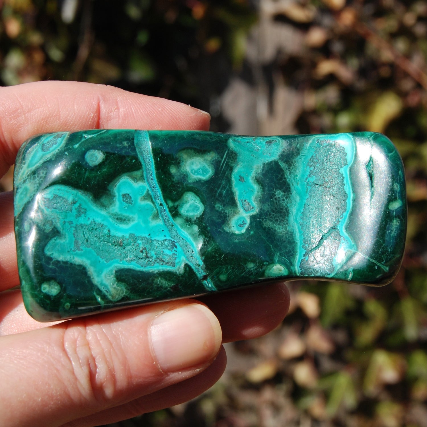 Malachite Chrysocolla Crystal Free Form Palm Stone
