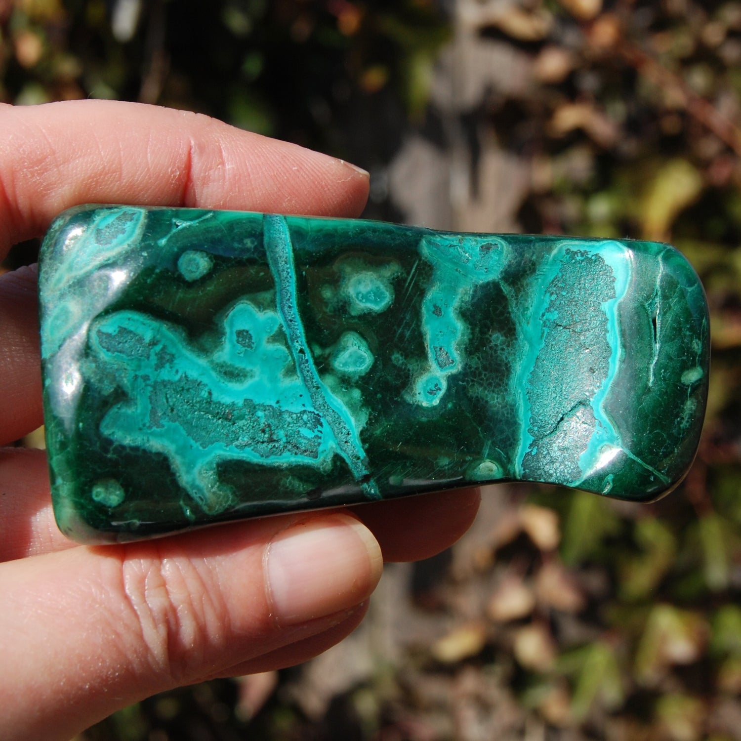 Malachite Chrysocolla Crystal Free Form Palm Stone