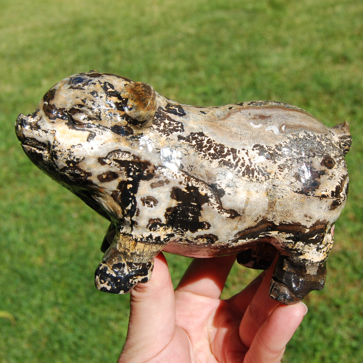 Picture Jasper Carved Crystal Pig
