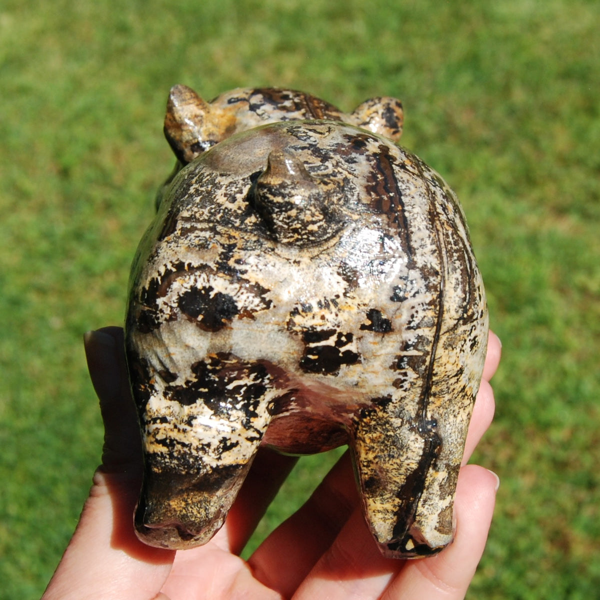 Picture Jasper Carved Crystal Pig