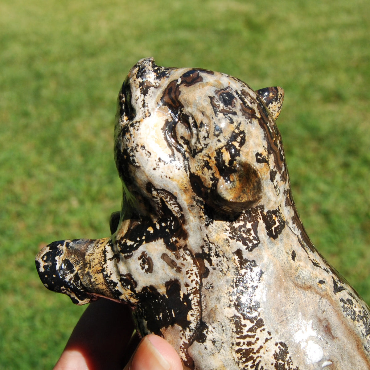 Picture Jasper Carved Crystal Pig