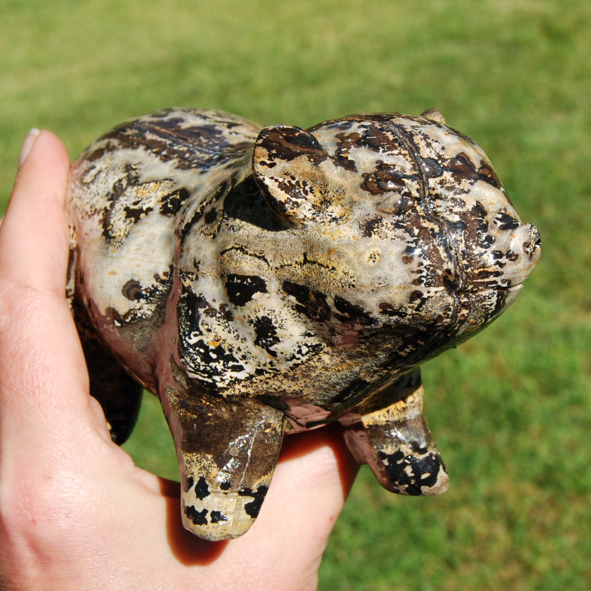 Picture Jasper Carved Crystal Pig